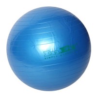 Мяч гимнастический INEX Swiss Ball, диаметр: 75 см